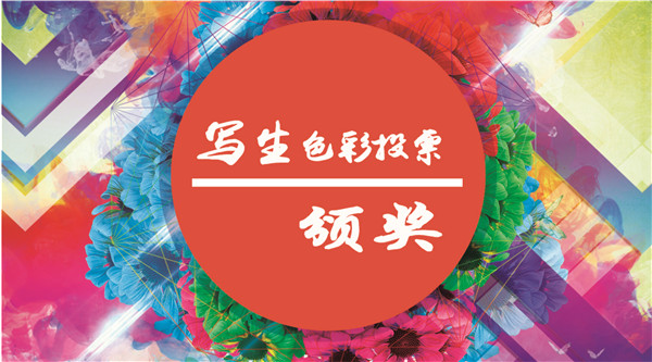 ɫ��ͶƱ | �񽱽������